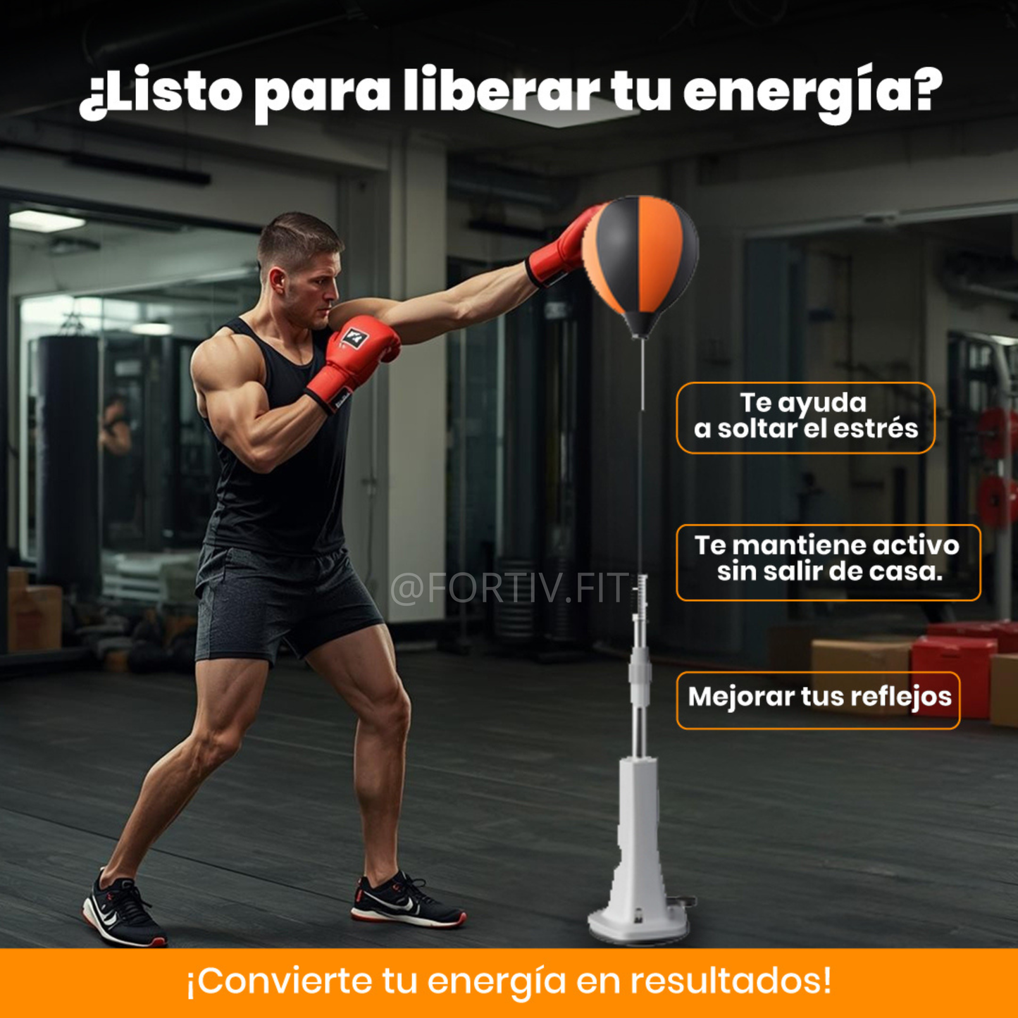 Pera de boxeo reflejos